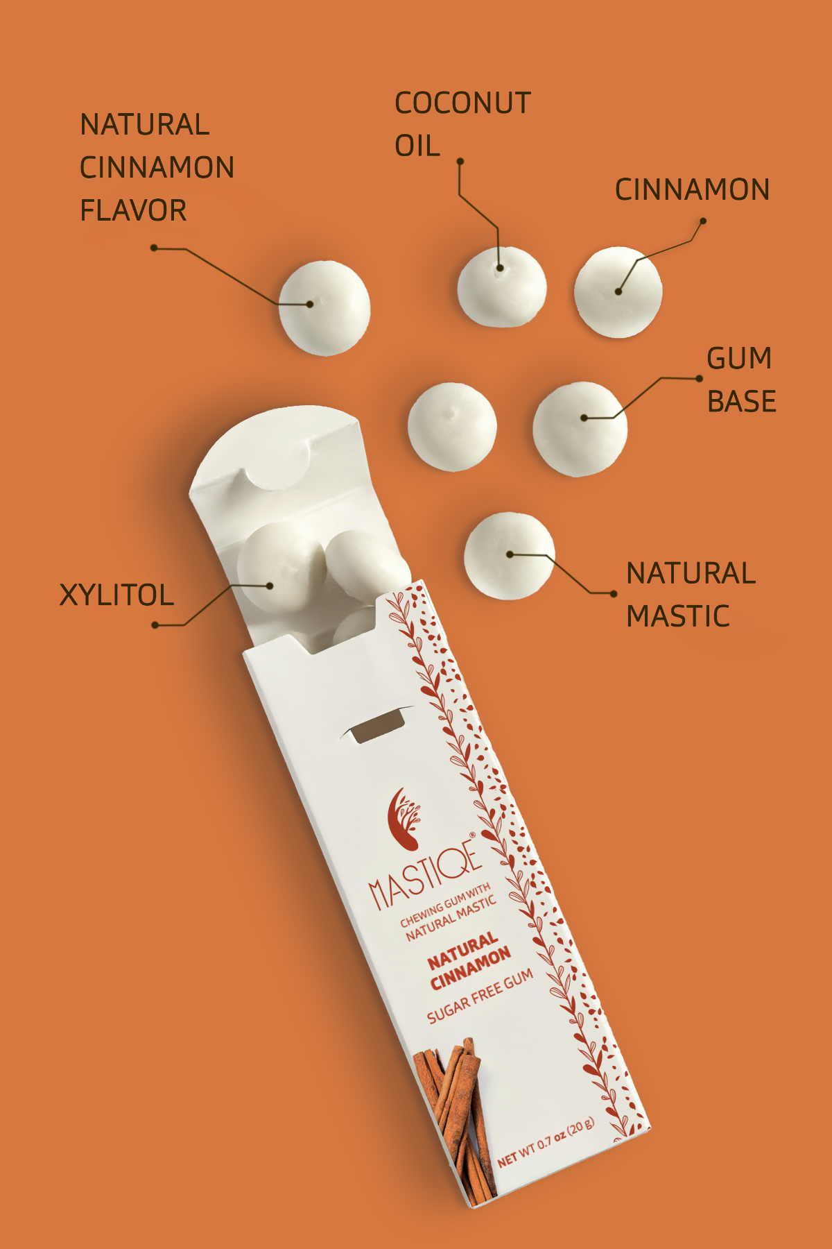 Mastiqe Sugar-Free Gum with Natural Mastic Cinnamon (12-Pack)